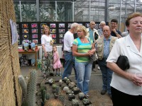 /album/fotogalerie-botanicka-zahrada-uk-praha-venkovni-a-sklenikova-expozice/botanicka-zahrada-uk-praha-venkovni-a-sklenikova-expozice3-jpg/